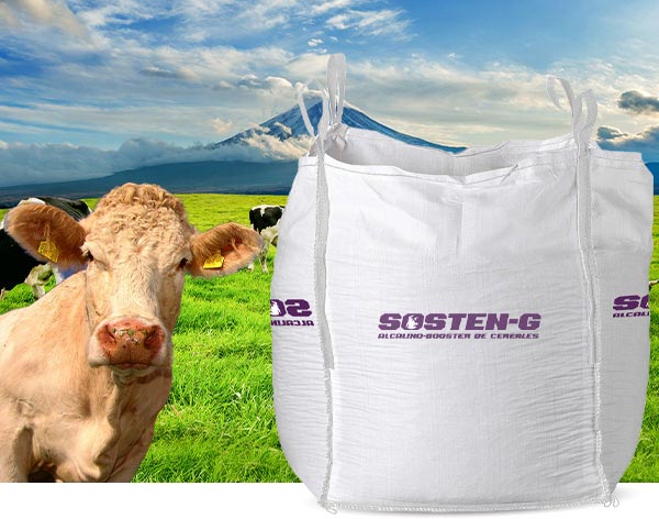 Aliment complémentaire booster bovins, Big Bag aliment bovins, valorisation céréales ruminants